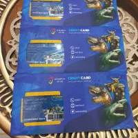 ۳ عدد کارت اعتباری شهربازی