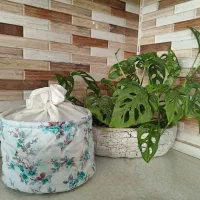 کیف سبزی یا میوه