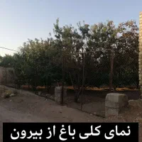 955متر-باغ-در-روستای-میم-قابل-تقسیم-شدن