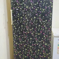 ۲عدد یخچال و ۱عدد فریزر|یخچال و فریزر|اهواز, کوی باهنر|دیوار