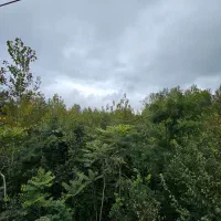 فروش ویلای ویودار/مناسب تفریح/ تاکسی خور|فروش خانه و ویلا|تالش, هشتپر|دیوار