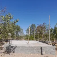 باغ-کهک