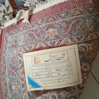 فرش ماشینی|فرش|اهواز, زیتون کارمندی|دیوار