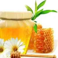 فروش عمده و تکی عسل طبیعی