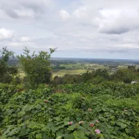 زمین مناسب بوم گردی در گیلان|فروش زمین و ملک کلنگی|لاهیجان, آهندان|دیوار