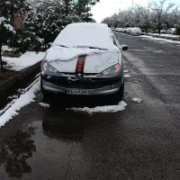 پژو206تیپ2جوان پسند