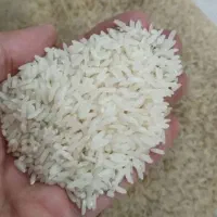 برنج هاشمی درجه یک درود