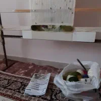 دارقالی که ۴۰ رج بافته شده