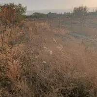 ۳۳۰۰مترباغ در روستای جوکال|فروش زمین و ملک کلنگی|چناران, |دیوار