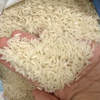 برنج درجه یک هاشمی