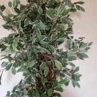 درختچه مصنوعی|گل مصنوعی|تهران, محمودیه|دیوار