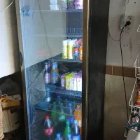 یخچال مغازه|فروشگاه و مغازه|مهاباد (آذربایجان غربی), |دیوار