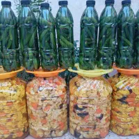 ترشی خونگی|خوردنی و آشامیدنی|شیراز, شهرک کوشکک|دیوار