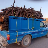 خرید و فروش و حرص درخت و باغات