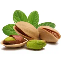 خرید انواع پسته و مغز