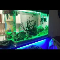 اکواریوم حرفه ای