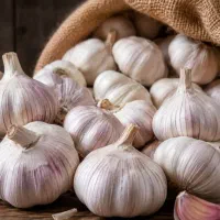 سیر خشک‌ و بسته