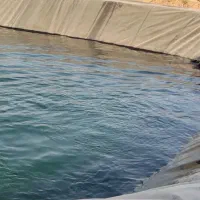 زمین اجاره برای گلخانه|اجارهٔ دفتر صنعتی، کشاورزی، تجاری|مشهد, چهاربرج|دیوار