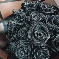 گل جاودان فول شاین مشکی