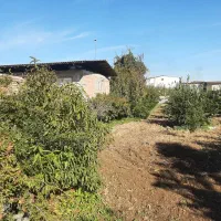 ۱۰۰۰متر زمین با امتیاز