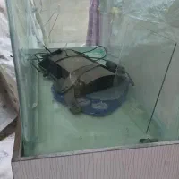 یک آکواریوم بزرگ شیشه خم  پلنت مانستر|ماهی|تهران, شهید رجایی|دیوار