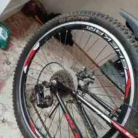 دوچرخه مدل شکاری|دوچرخه، اسکیت، اسکوتر|رویان, |دیوار