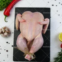سینه فیله ران مرغ اکبر جوجه، ( عمده)