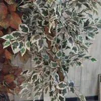 درختچه مصنوعی با گلدان  سرامیکی و بدون ان|گل مصنوعی|شیراز, تپه تلویزیون|دیوار