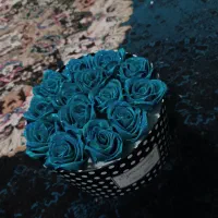 هدیه روز مرد.. و پدر