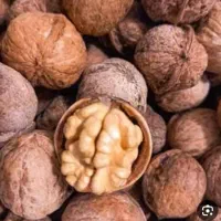 گردو درجه یک