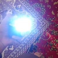 لامپ دوچرخه|لامپ و چراغ|زابل, |دیوار