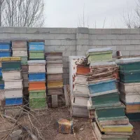 کندوی خالی و لوازم زنبورداری