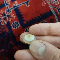 باباقوری|کلکسیون اشیاء عتیقه|کرج, اصفهانیها|دیوار