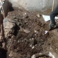 کودحیوانی