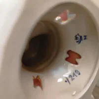 مجسمه های ایتالیایی|مجسمه، تندیس، ماکت|تهران, امانیه|دیوار