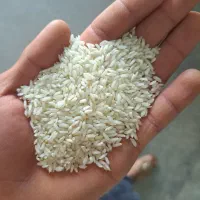 برنج عنبربو در بک بشرط