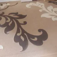 دوعدد گلیم فرش