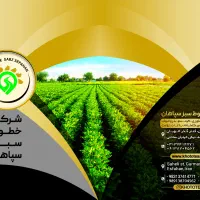 استخدام کارگر انبار