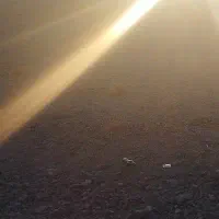 راننده لیفتراک