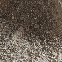 فروش خوراک دام با بهترین کیفیت