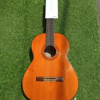 گیتارهای پیکاپدار آگوستینی c70c40فیشمن jghhdh