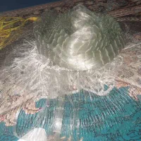 تور ماهیگیری