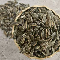 تخمه درجیه یک خوی (500 گرم)