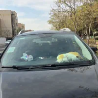 فروش نقد یا معاوضه خودرو جک S3مدل ۱۳۹۷ اتوماتیک|خودرو سواری و وانت|کاشان, فاز ۱ ناجی آباد|دیوار