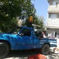 آبگیری انگور