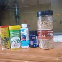 اکواریوم با ماهی و غذا معاوضه با قناری سهره