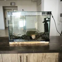 آکواریوم شرکتی شیشه خم