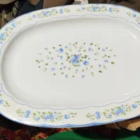 دیس پلو خوری