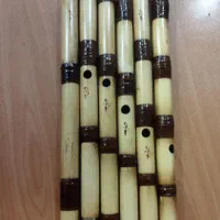 نی هفت بند سه مهر ممتاز سلطانیان|سازهای سنتی|تهران, توحید|دیوار