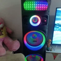 سیستم صوتی ارگون